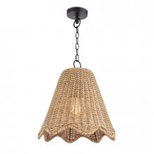 Regina Andrew 17-1029NAT - Coastal Living Summer Outdoor Pendant Small (Wea