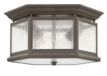 Hinkley 1683OZ - Small Flush Mount